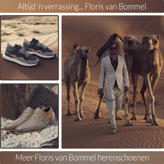 Van discount steenwijk schoenen